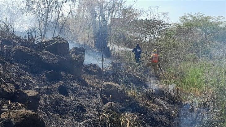 Hasta 10 incendios diarios se registran en Xalapa y alrededores; falta de agua perjudica ayuda 