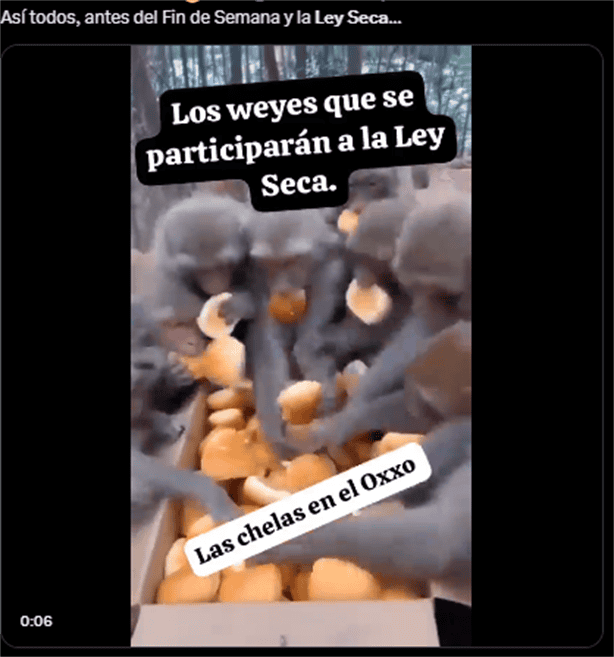 Los mejores MEMES de la Ley Seca  y reacciones previas a las elecciones del 2 de junio