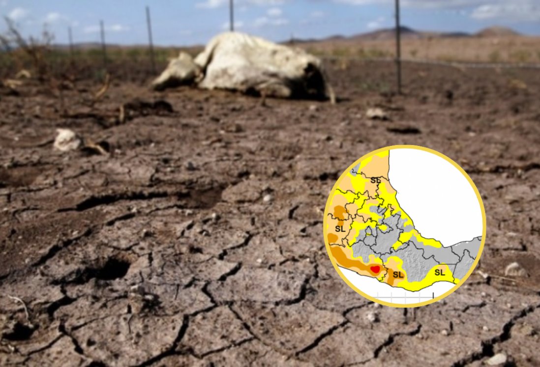 179 municipios de Veracruz presentan fuerte sequía, según Conagua