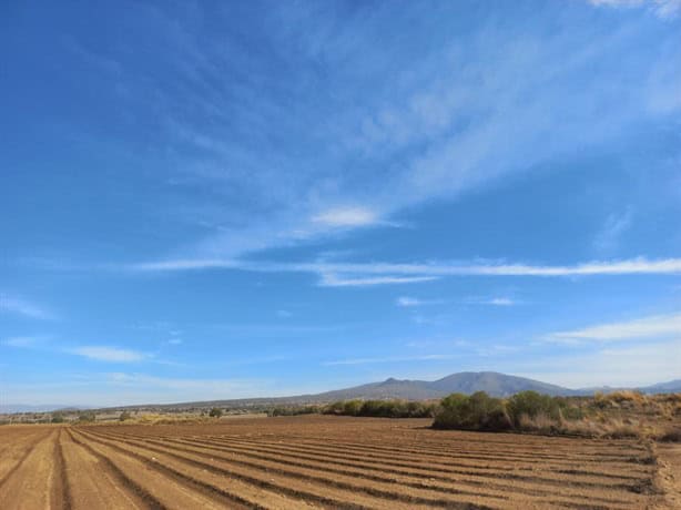 Aumento en tarifas de CFE y sequía ahorcan a campesinos de Perote, aseguran