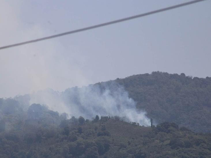 Quemas y fraude de beneficiarios de Sembrando Vida destruyen área forestal de Veracruz