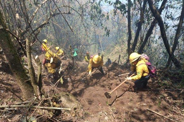 Incendio en Tequila, controlado en un 50 %: SPC Veracruz
