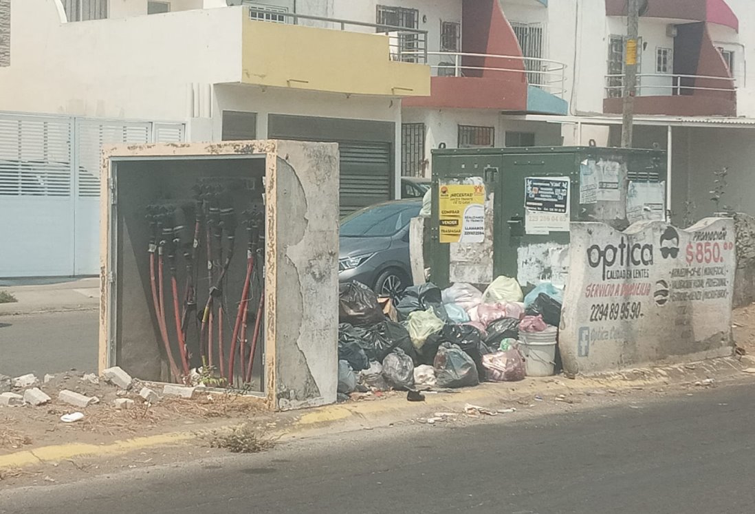 Denuncian acumulación de basura en camellones de Los Torrentes, Veracruz