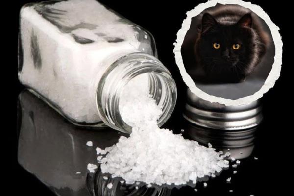 ¿Eres supersticioso?; este sería el significado de tirar sal por accidente 