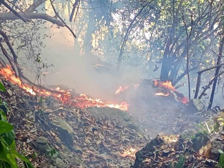 Veracruz, en llamas; incendio forestal también afecta Colipa y Vega de Alatorre