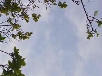 Observan supuesto OVNI en pleno día en la zona de Rodríguez Clara | VIDEO