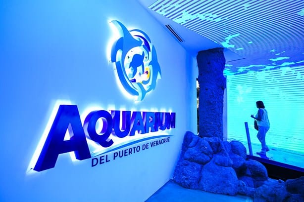 Acuario de Veracruz: cuándo será el día de entradas gratis