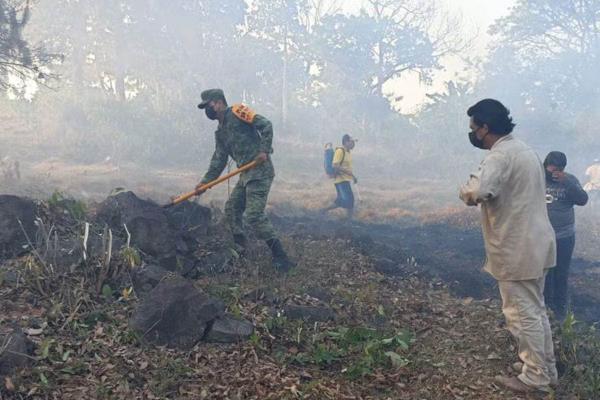 Denunciarán a provocadores de incendios forestales en Veracruz; van 23 siniestros y 935 hectáreas afectadas