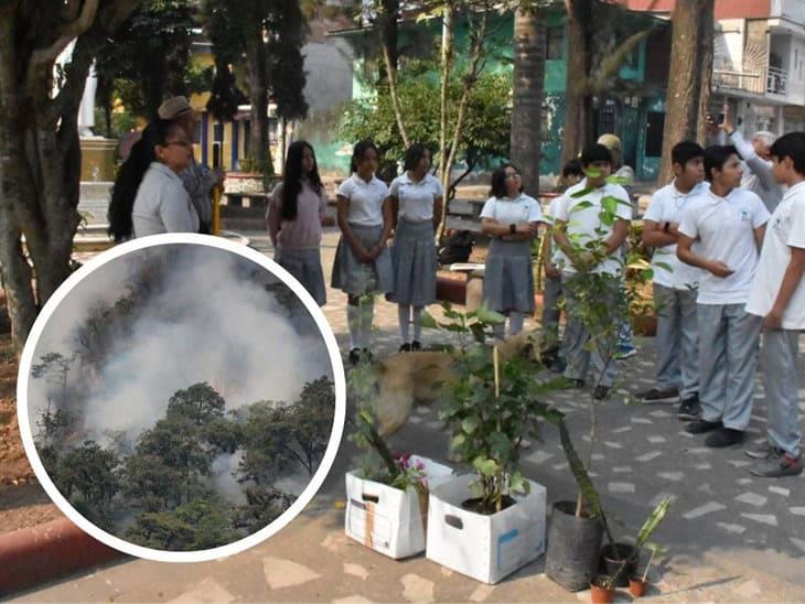 Río Blanco, otro afectado por incendios en Día Mundial del Medio Ambiente