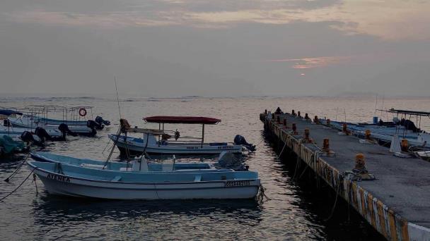 Pescadores de Veracruz confían apoyos de motores con Nahle en el gobierno – Imagen de Veracruz