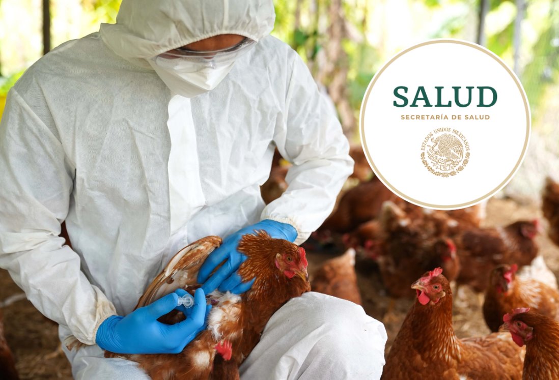 SSA descarta riesgo de contagio de influenza aviar, tras primera muerte en México