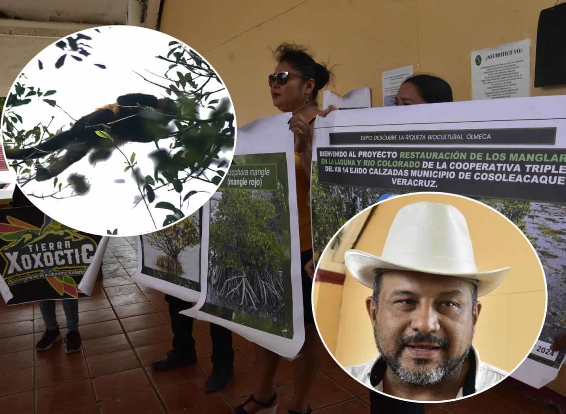 Preparan centros de acopio en el sur de Veracruz para rescatar fauna ante ola de calor | VIDEO