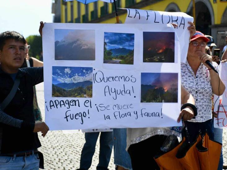 Exigen activar Plan DNII; impera desorden en combate a incendios en Veracruz, acusan