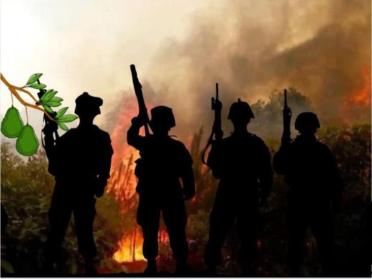 ¿Crimen organizado tras incendios en Veracruz? Alertan por este Motivo
