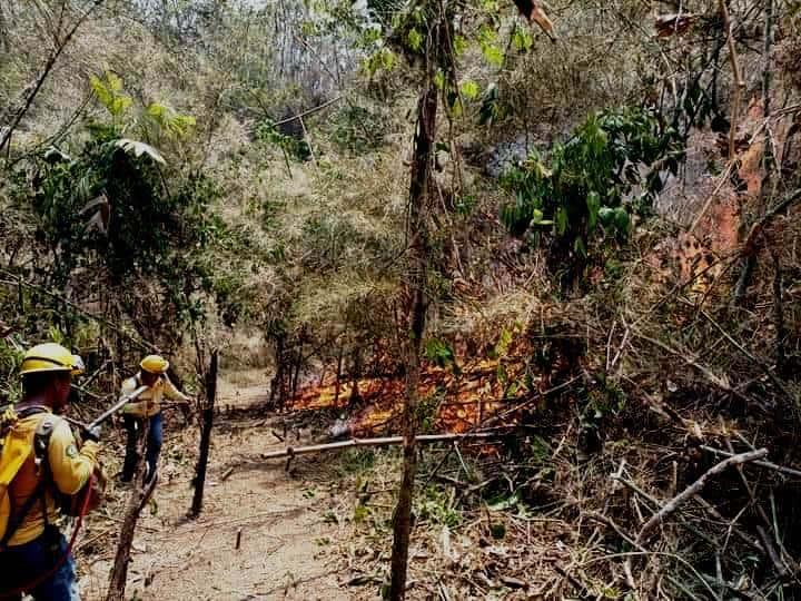Autoridades de Uxpanapa exhortan a población a tomar medidas preventivas para evitar incendios