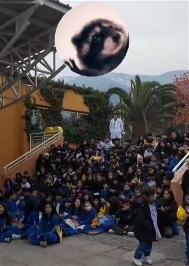 Banda militar toca ‘Pedro, Pedro’ y un grupo de niños se emociona en un kínder | VIDEO