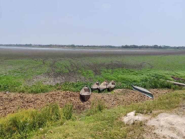 Laguna María en Cosamaloapan está riesgo de desaparecer