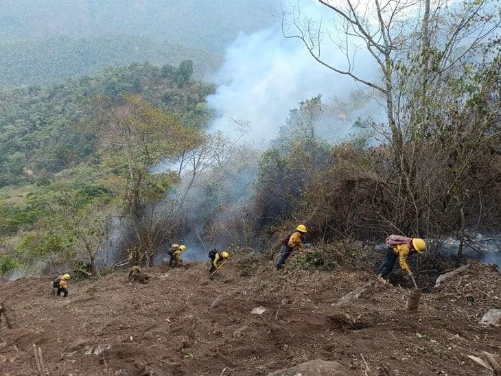 Más de 7 mil hectáreas consumidas por incendios forestales en Veracruz