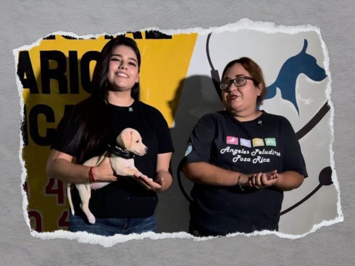 Así buscan reutilizar las lonas usadas durante las campañas en Poza Rica