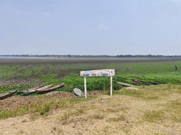 Laguna María en Cosamaloapan está riesgo de desaparecer