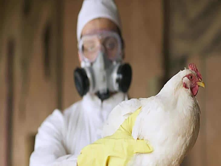 Diabetes e hipertensión, causas de fallecimiento de mexicano con gripe aviar