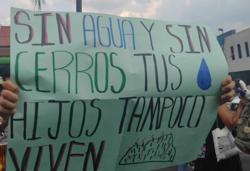 Exigen atender incendios en zona de Orizaba; ´sin montañas no hay vida´ (+Video)