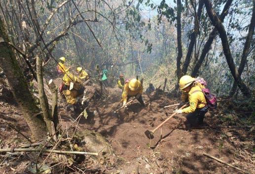 Por incendios en Tequila, al menos siete lesionados y 400 familias afectadas