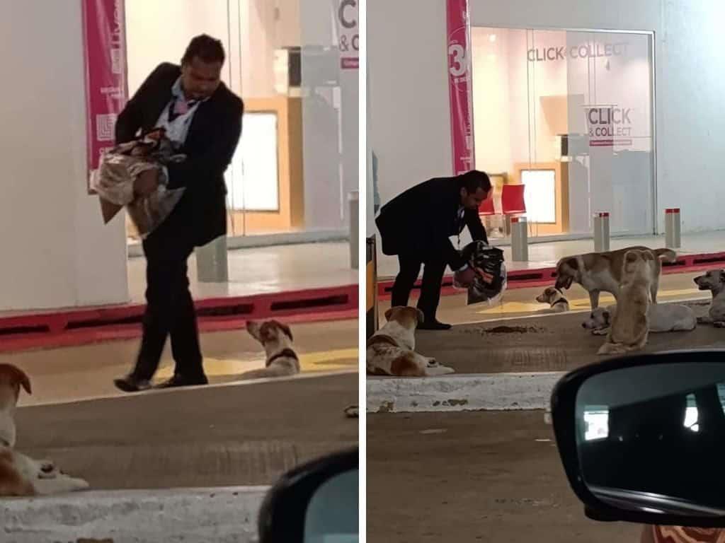Trabajador de Liverpool se viraliza por dar alimento a perritos de la calle en Coatzacoalcos | FOTOS