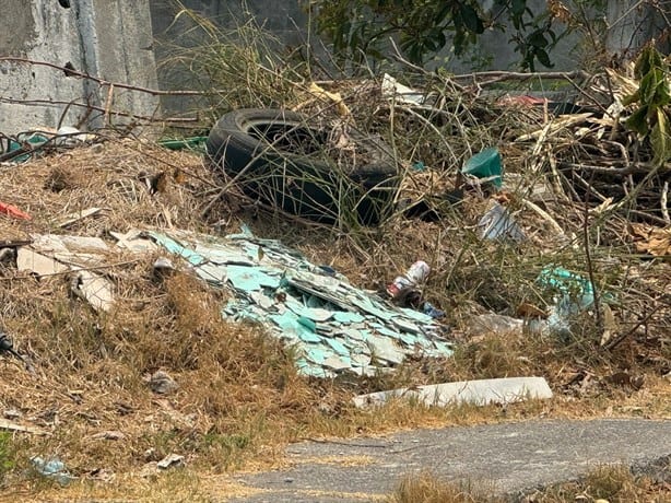 Reportan otro basurero clandestino en la colonia Hidalgo, en Veracruz