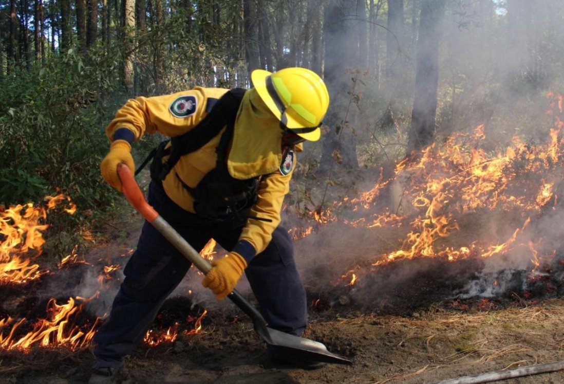 Brigadistas liquidan 15 incendios forestales en Veracruz