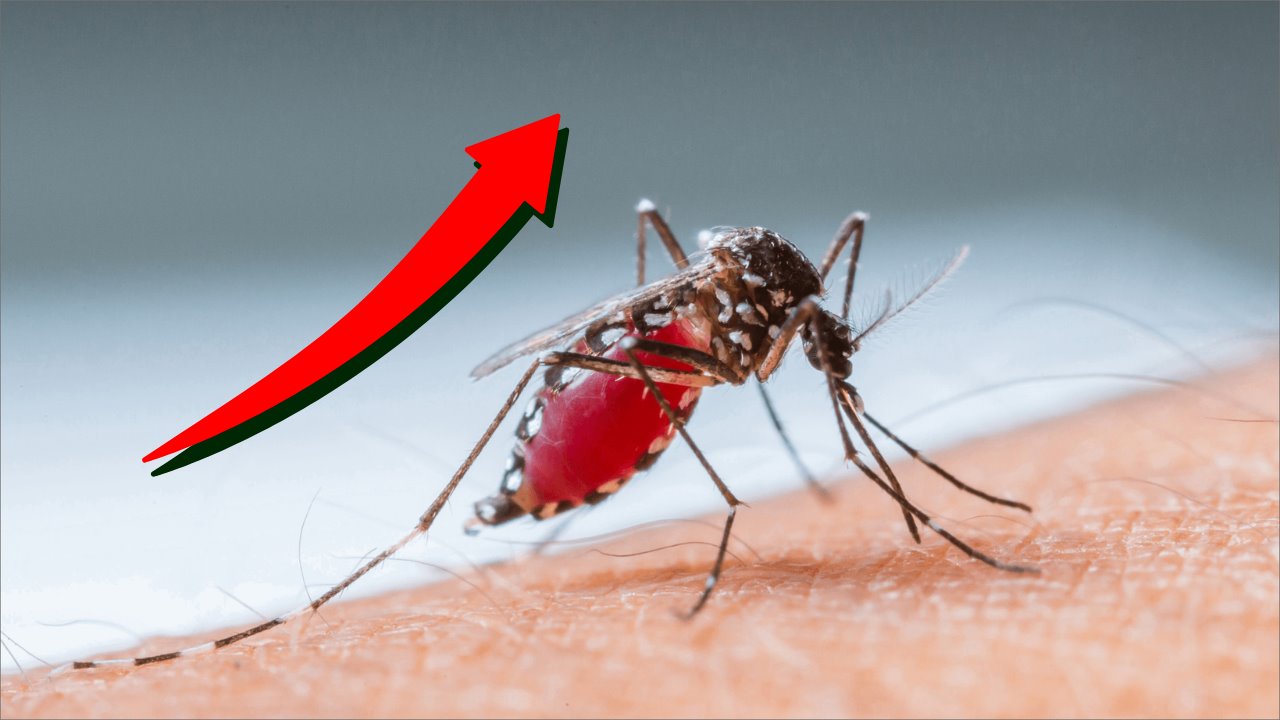 Crisis de dengue: Se prevé expansión a 8.1 millones de casos para 2039