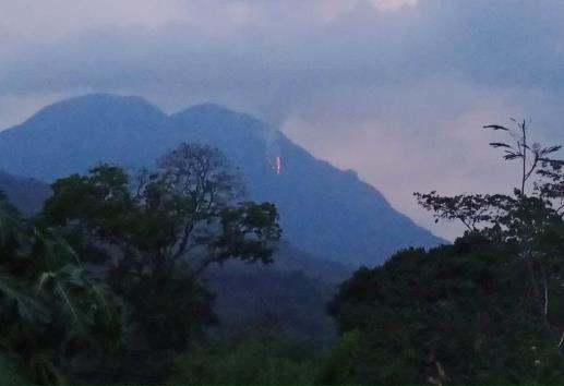 Incendios forestales en Zongolica; pobladores acusan que nadie los atiende