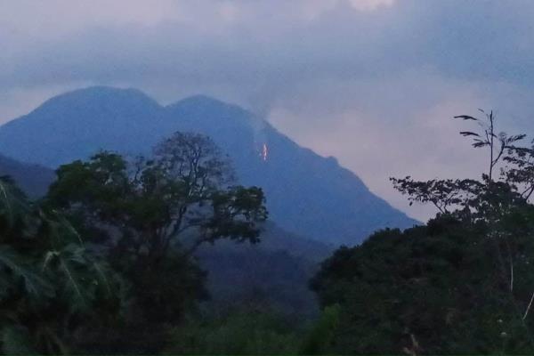 Incendios forestales en Zongolica; pobladores acusan que nadie los atiende