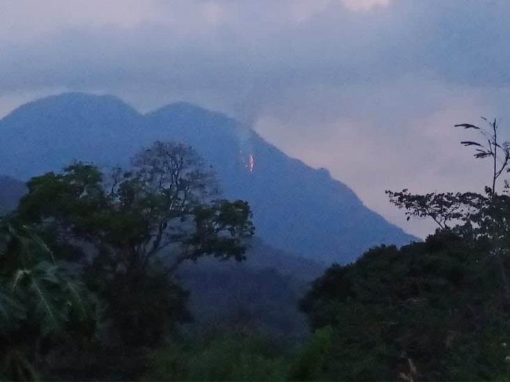 Incendios forestales en Zongolica; pobladores acusan que nadie los atiende