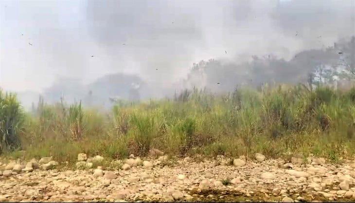 Bomberos y vecinos controlan incendio cerca de Mafafas (+Video)