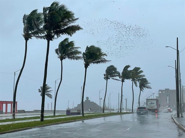 Huracán Alberto: ¿Traerá lluvias a Veracruz? esta será su trayectoria ¡atención!