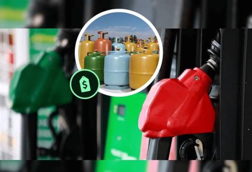 Profeco informa precios de combustible y gas LP 