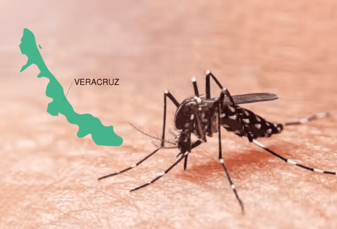 Veracruz suma más de mil 300 casos de dengue durante 2024