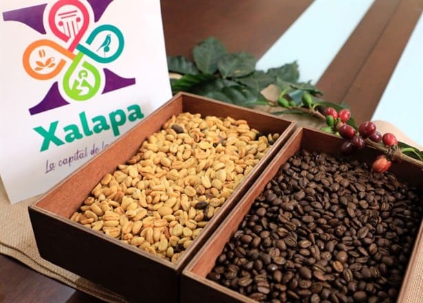 Ya viene el festival “Xalapa, Café y Aroma 2024”, te contamos