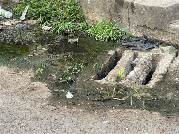 Alertan por fuga de aguas negras en la colonia Estatuto Jurídico