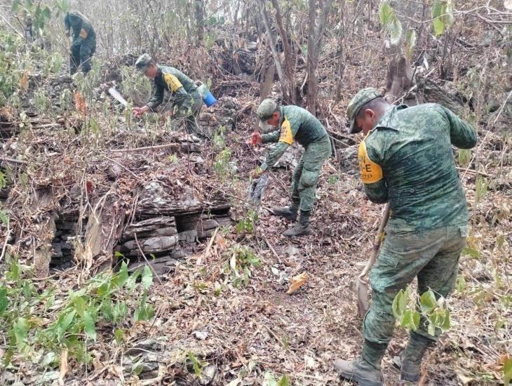 Incendios forestales bajo control en Uxpanapa; más de mil hectáreas afectadas