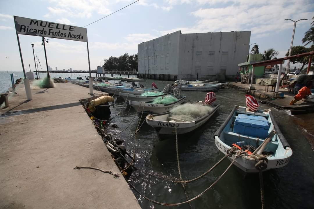 Pescadores de Veracruz piden permiso para ofrecer servicios turísticos en temporadas altas