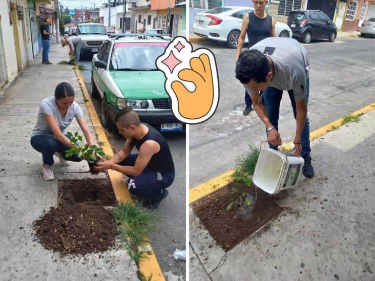 En Xalapa, suman esfuerzos y siembran árboles en esta zona de la ciudad
