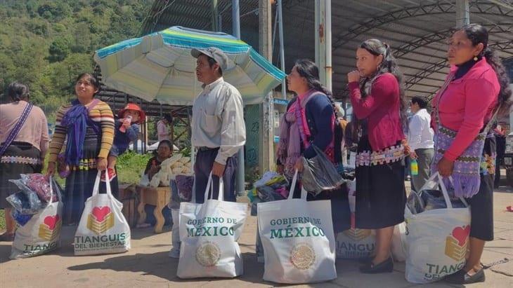 Tianguis del Bienestar ha beneficiado a 541 mil 423 familias mexicanas: Ariadna Montiel