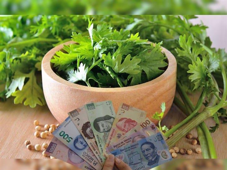 ¿Cilantro hasta en 400 pesos?; lista de alternativas para sazonar comida a bajo costo