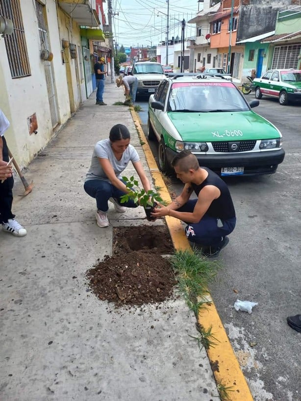 Pavimentación de concreto roba agua a Veracruz y agrava sequía