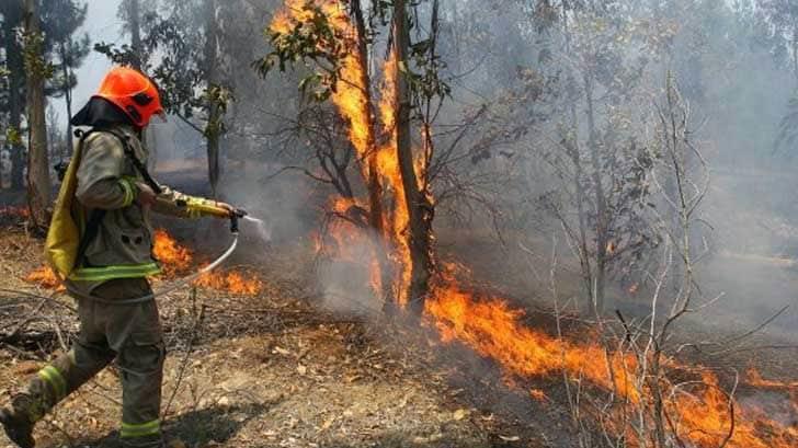 Veracruz arde: Conafor reporta 10 incendios forestales activos