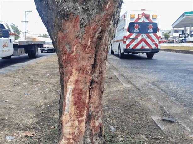 Conductora se estrella contra un árbol en avenida Cuauhtémoc