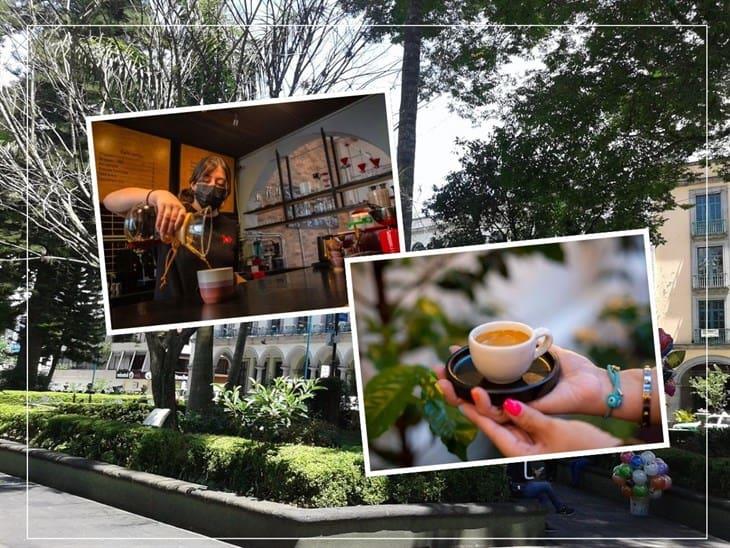 Vuelve la expo Café y aroma 2024: fecha y horario ¡te contamos los detalles! 