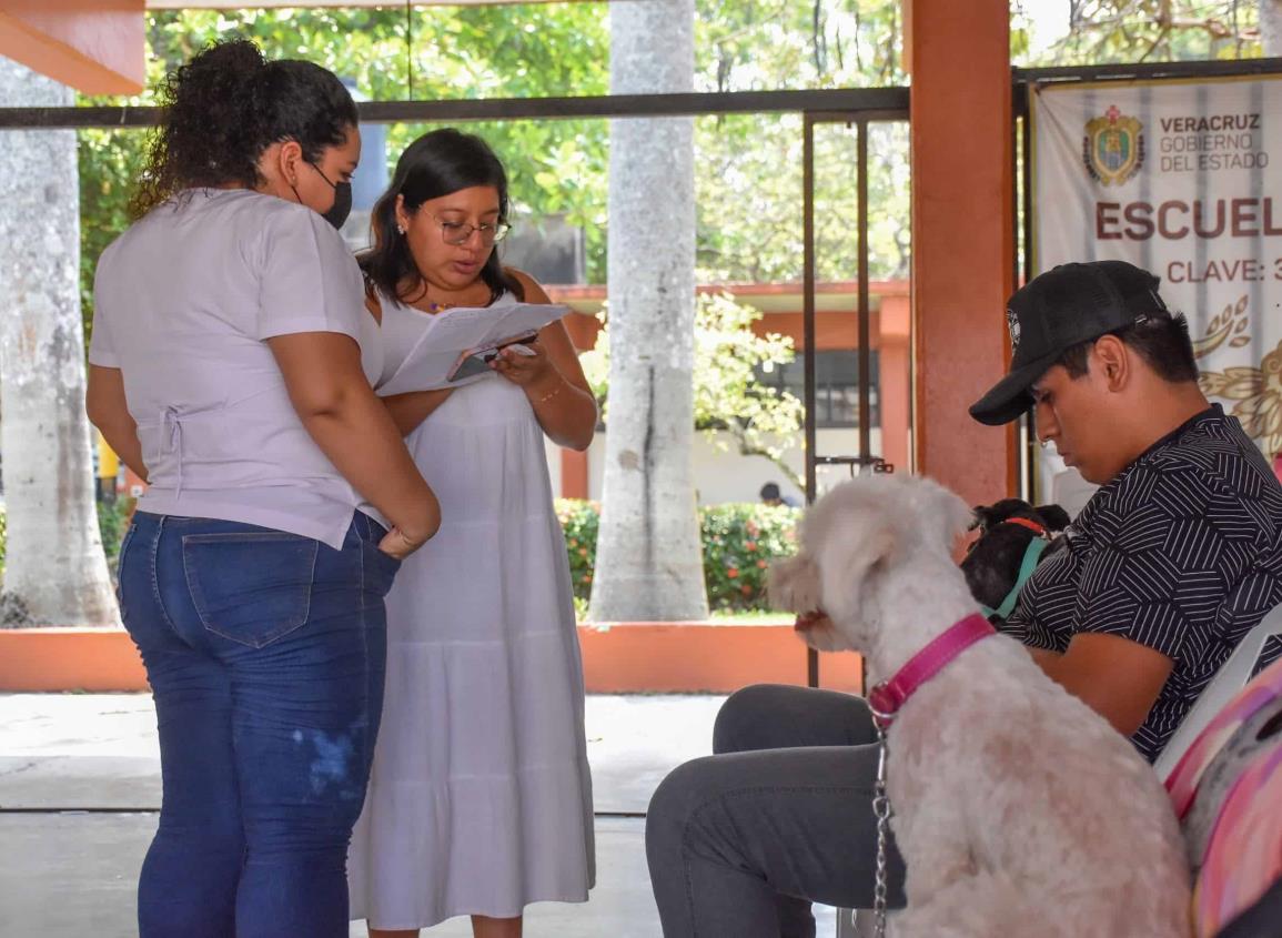 Más de 400 mascotas han sido intervenidas en jornada de esterilización canina y felina